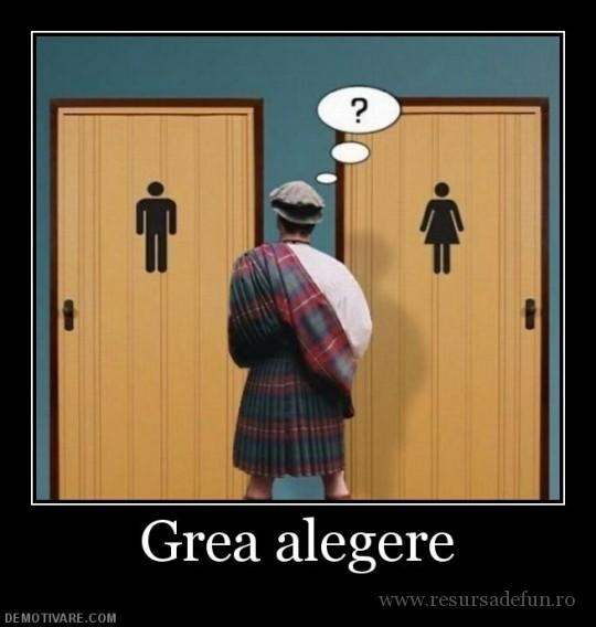 Diverse - 2269grea-alegere-540x568.jpg